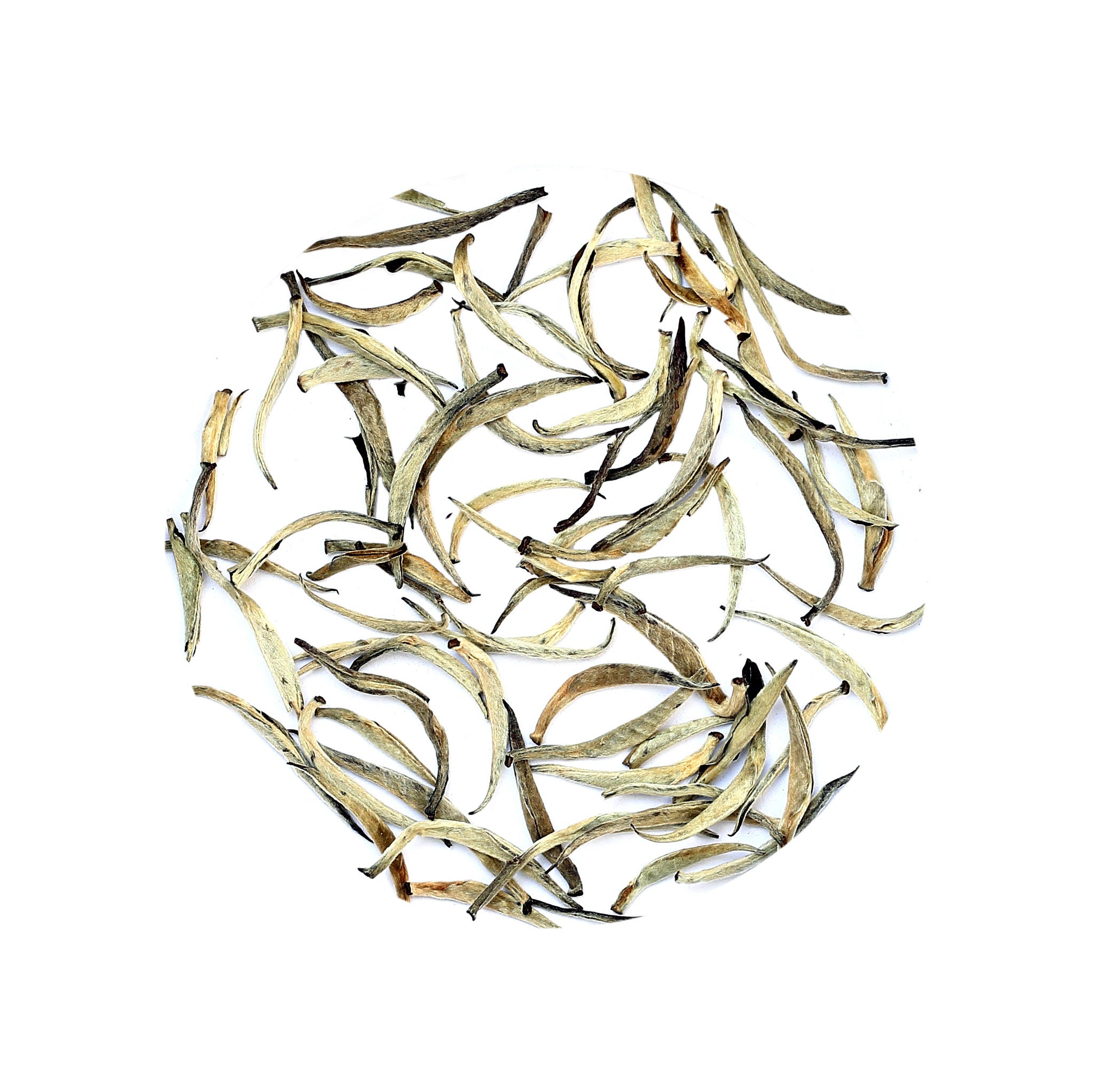 Silver Needle Tea/ White Tea