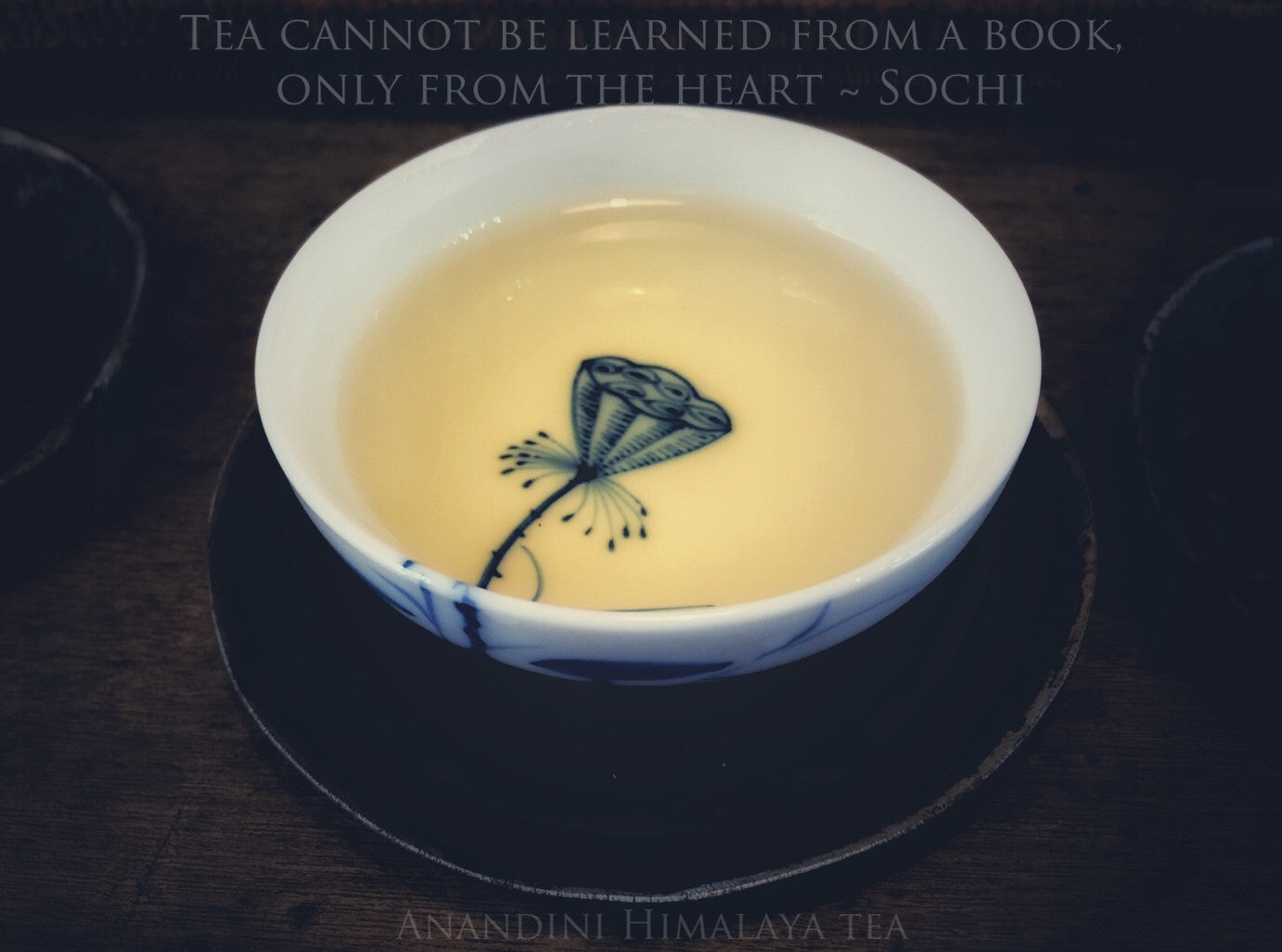 Zencha: Space .. a necessity for tea & self.